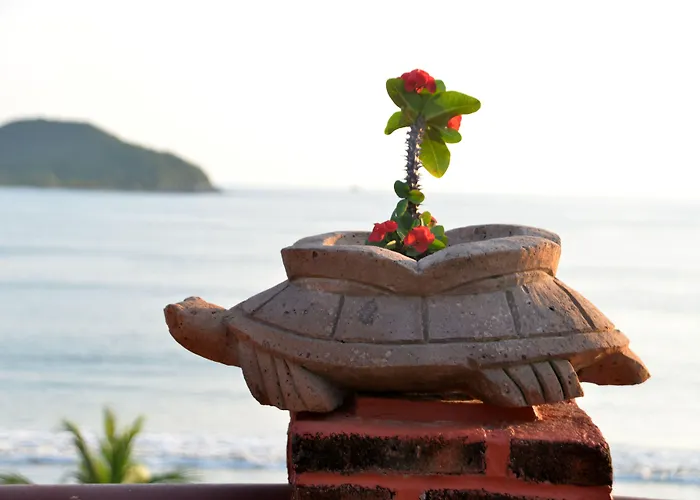 Zihuatanejo Spa Hotels