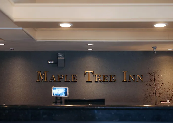 Tiburon Spa Hotels